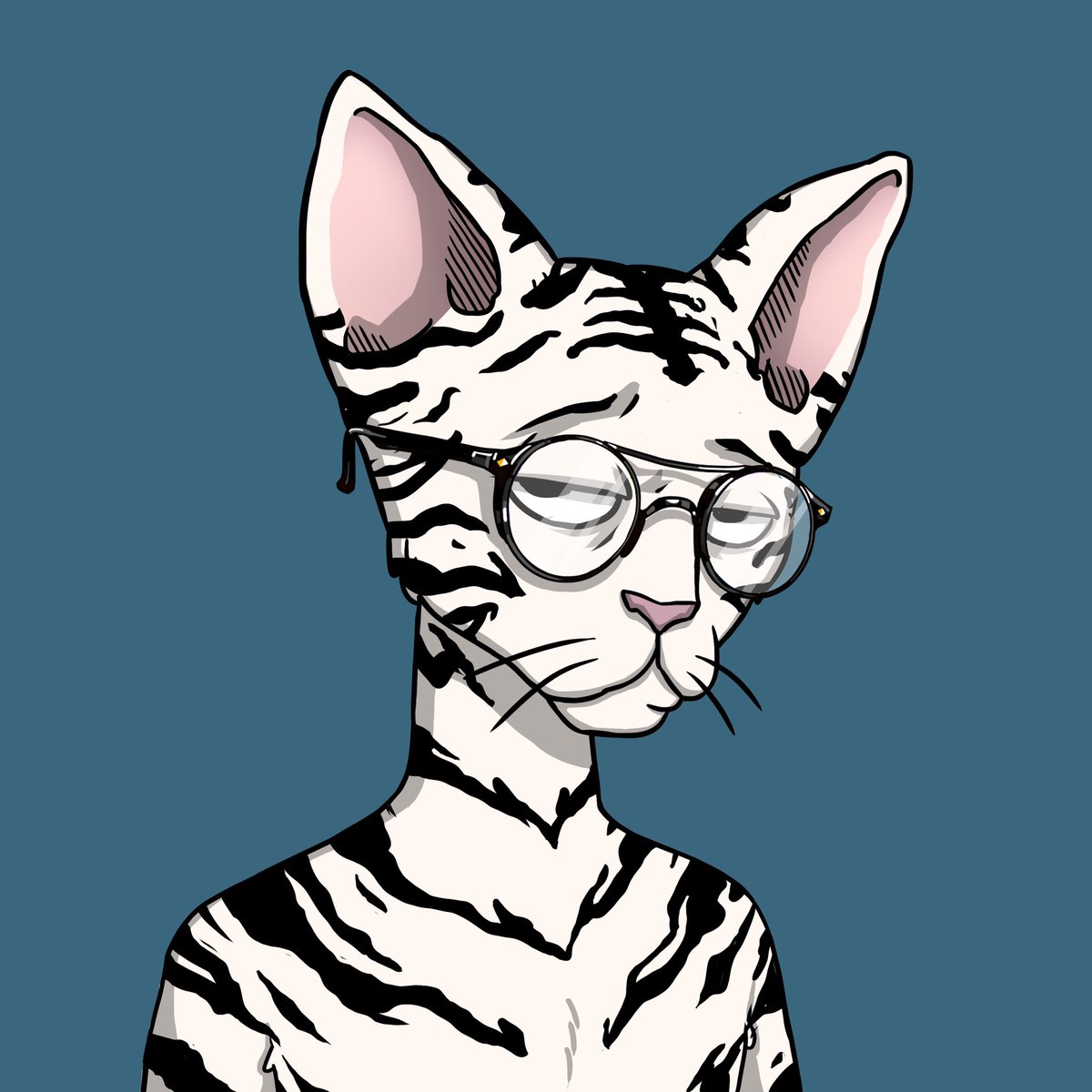 SolDiggerr (building arc) tweet media