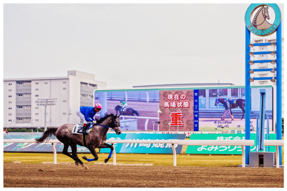 yoshibapippo's tweet photo. 競走馬の引退後について。
https://t.co/XRKt6Qiio8
#ホーストラスト #horsetrust #松原ステーブルス #松原正文 #leica #leicam11 https://t.co/UKfgsamdtG