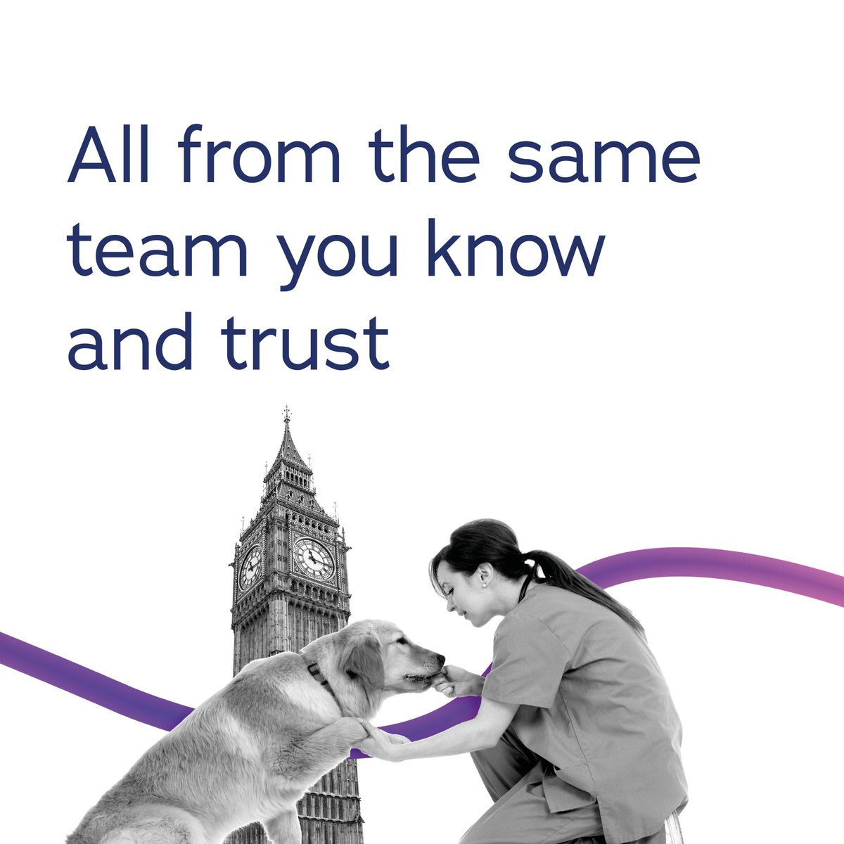 GVCvets's tweet photo. We can finally let the cat out of the bag!!
We're rebranding! After lots of hard work GVC will be relaunching next week with an exciting new look and direction, better content and most importantly... more Global Veterinary Careers!!
#Relaunch #Rebrand #GVC #Careers https://t.co/WvfI4Tb32U