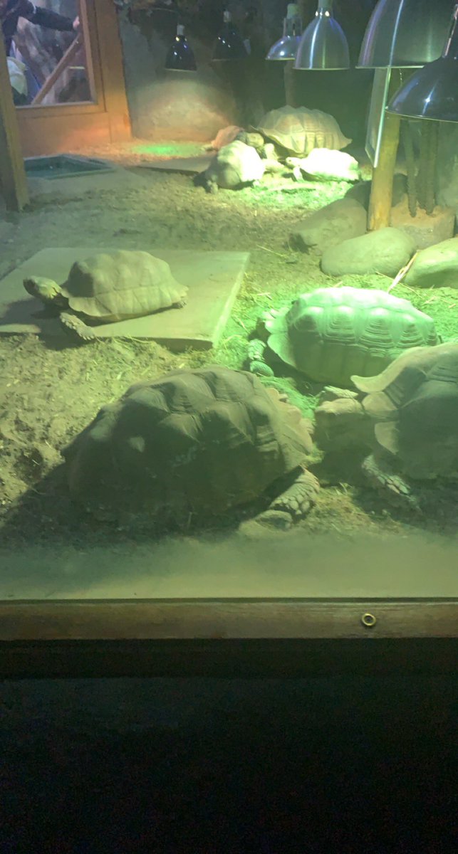 fizzystarsss's tweet photo. I went the aquarium #SpringBreak #blueplanet #sealife #fishing https://t.co/JKzdl9eNrF