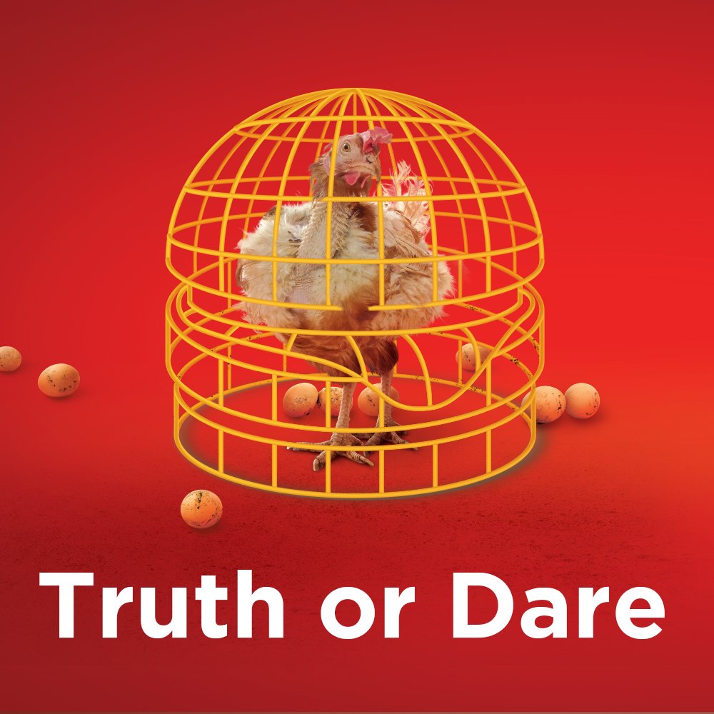 HappyTheHen's tweet photo. Hey @McDonalds, do you want to play truth or dare with me?
Truth: Why do you insist on exploiting laying hens like me?
Dare: Go #cagefree in Asia like what your competitors committed to. https://t.co/jmxKnfz2wO