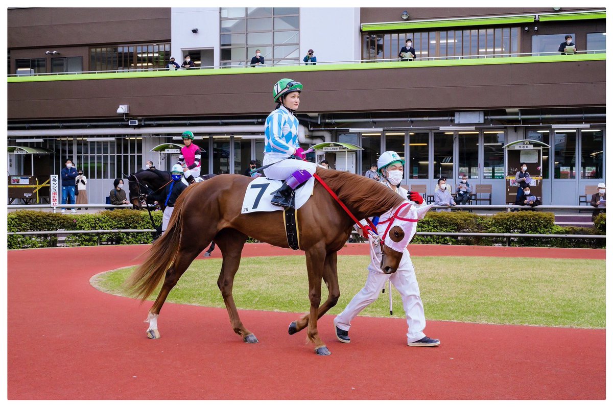 yoshibapippo's tweet photo. 競走馬の引退後について。
https://t.co/XRKt6Qiio8
#ホーストラスト #horsetrust #松原ステーブルス #松原正文 #leica #leicam11 https://t.co/UKfgsamdtG