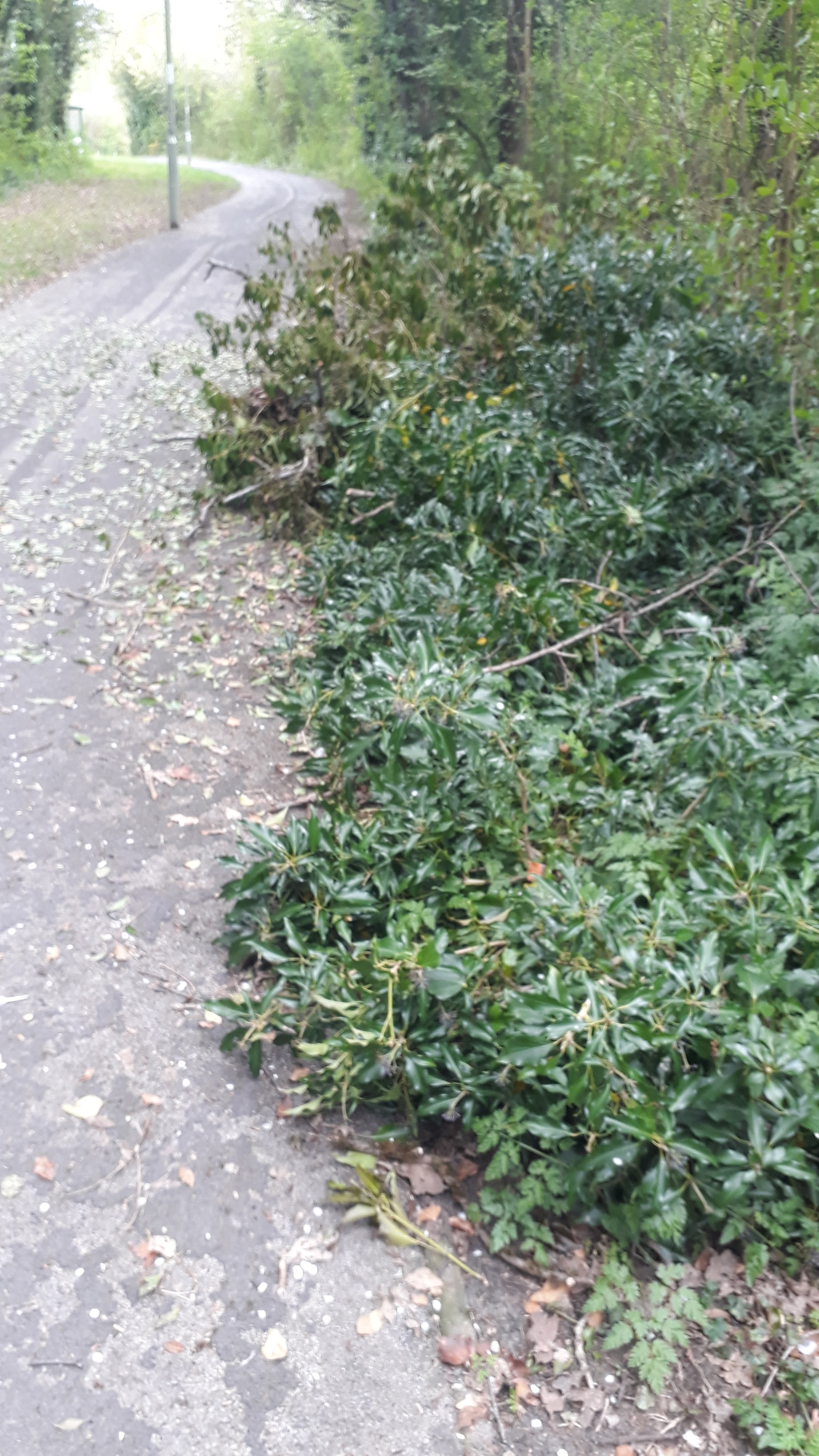 Basingstoke Council on Twitter "Jeremy22RLS Hi Jeremy, thank you for letting us know. I have