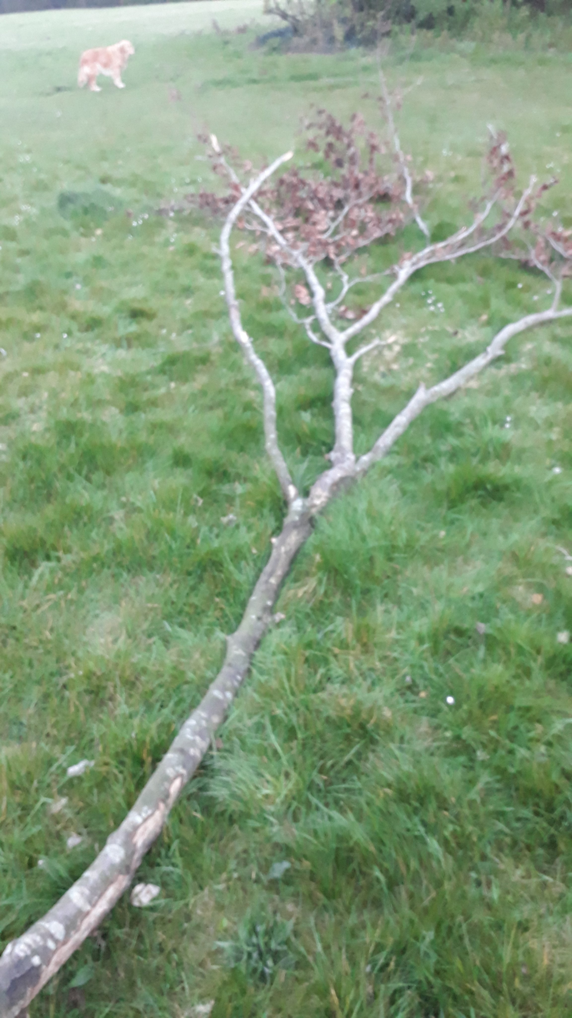 Basingstoke Council on Twitter "Jeremy22RLS Hi Jeremy, thank you for letting us know. I have