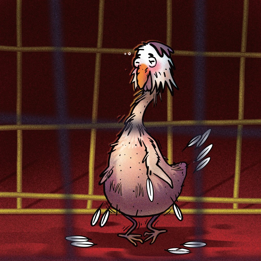 HappyTheHen's tweet photo. I am not sure what happened to me, just that I have no appetite and my legs feel lame. I found my cagemates are not feeling well either. But no one comes to take care of us, they just care if they could collect eggs from us. https://t.co/qPv68mePvw https://t.co/FLjspEmfAe