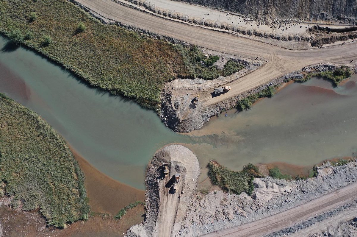 Panedile tweet media