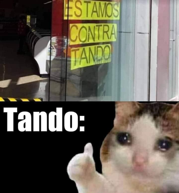 Buen día.