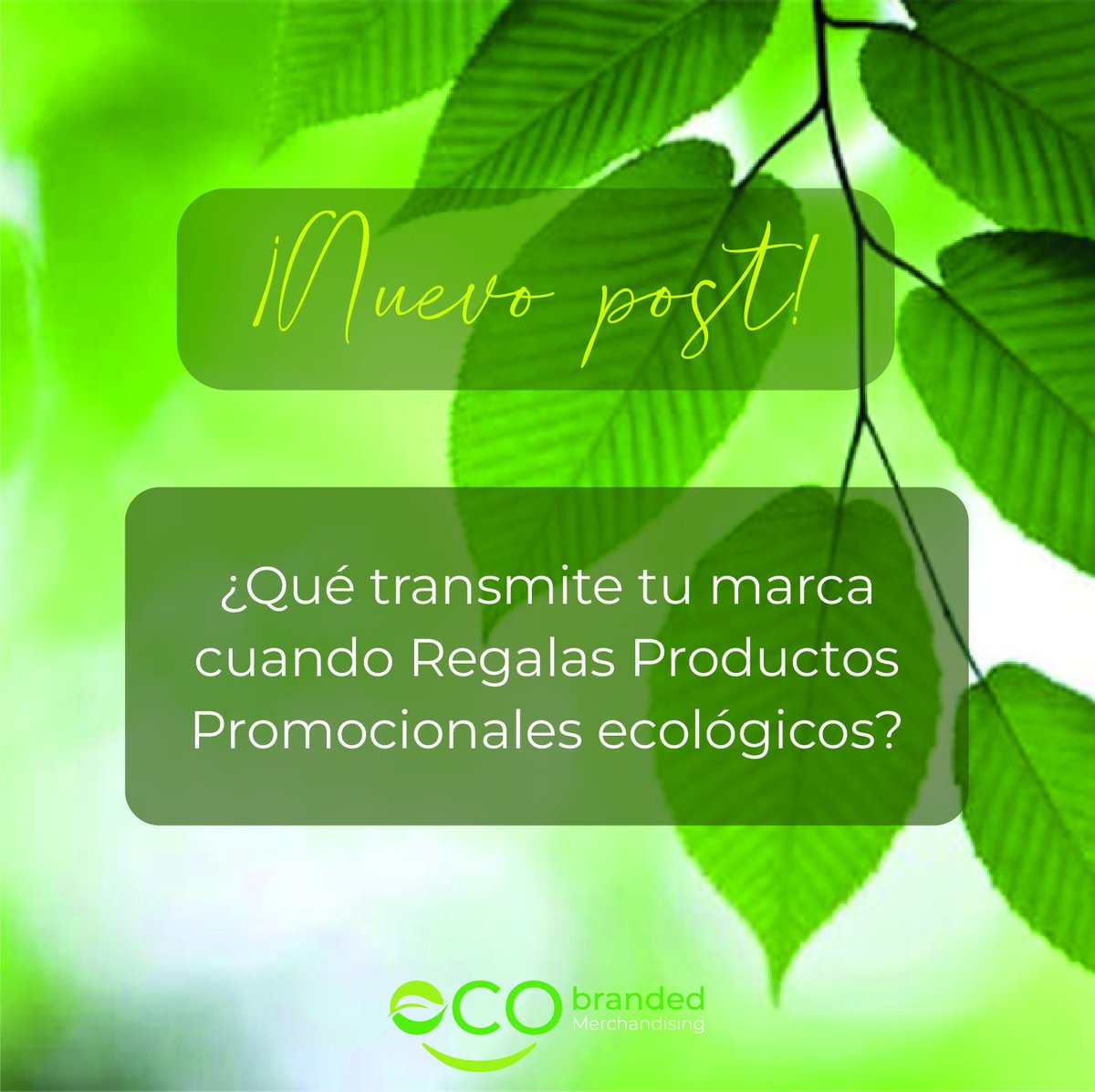 Regalar productos ecológicos es algo más que “hacer un regalo”, aporta esa pequeña vibra emocional y transmite valor, que es lo importante.

#ecologico #ecofriendly #medioambiente #sostenibilidad #ecobranded #plasticfree #ecoamigable  #emprendedores #sostenible #blog #regaloseco