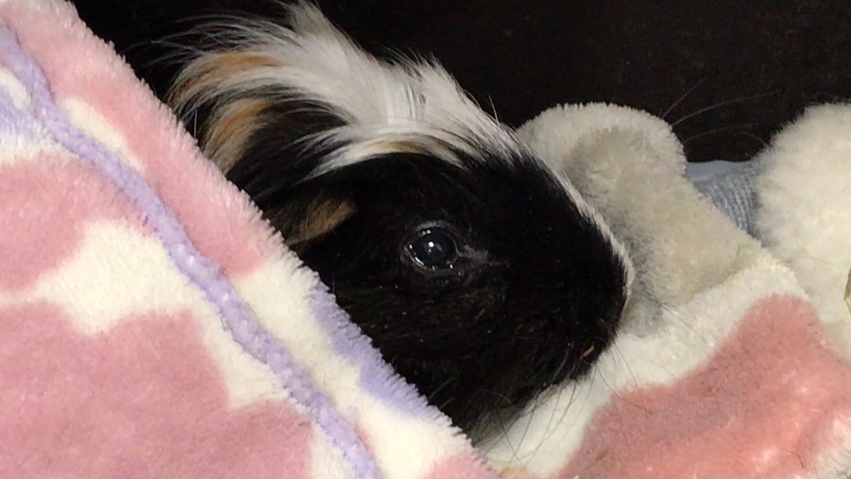 鬼頭栄作@造形作家 tweet media