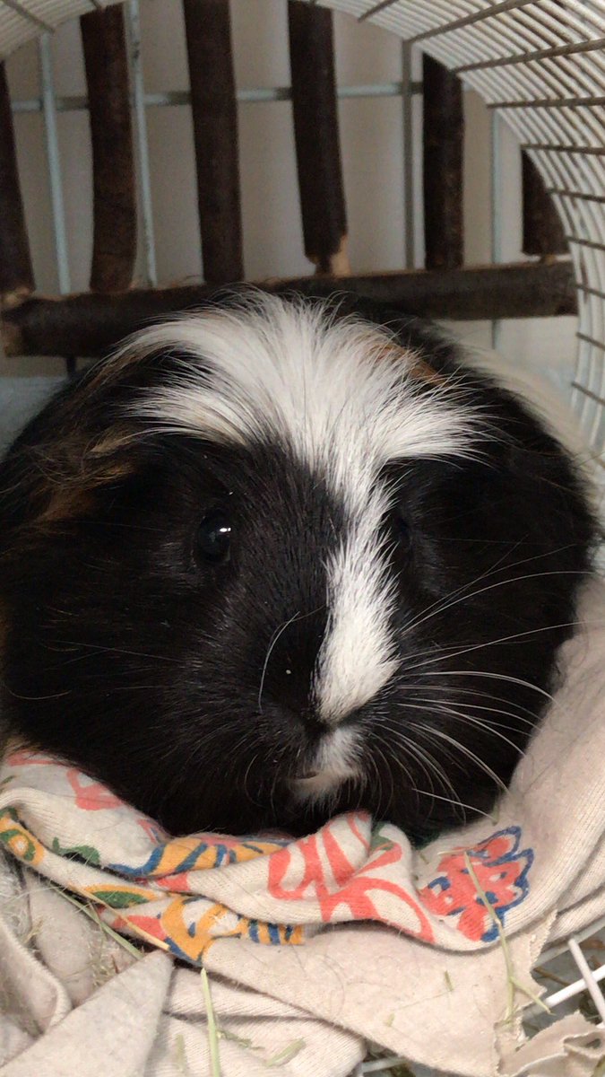 鬼頭栄作@造形作家 tweet media