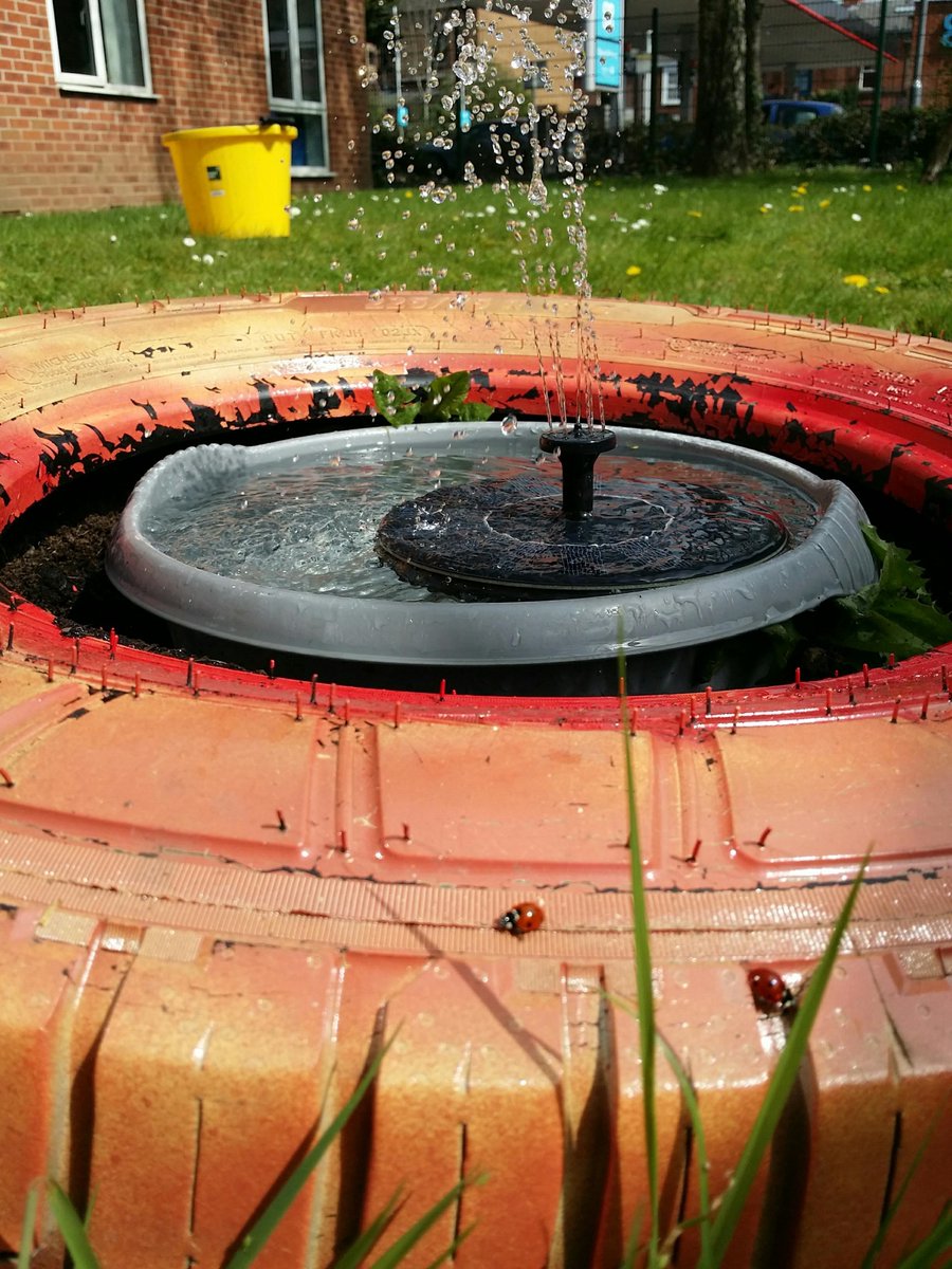 Our Nature Garden is looking great this spring and we have recycled most of the things used in Garden from left over Pallets, tyres and even a bed frame #Brookside #NatureGarden #RecyledGarden