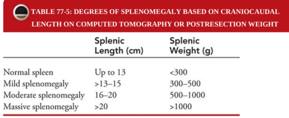 DRAFTABAHMED7's tweet image. 🅐︎ Classification of splenomegaly based on CT or post-resection weight 🅑︎ Patient Selection for Laparoscopic,Hand-Assisted
Laparoscopic,or Open Approach 🅒︎Preoperative Splenic Artery Embolization
𝗥𝗲𝗳:Maingots abdominal surgery 
#splenomegaly #MedTwitter 
#splenectomy
