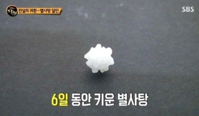 우리 레이 진짜 빨리 큰다