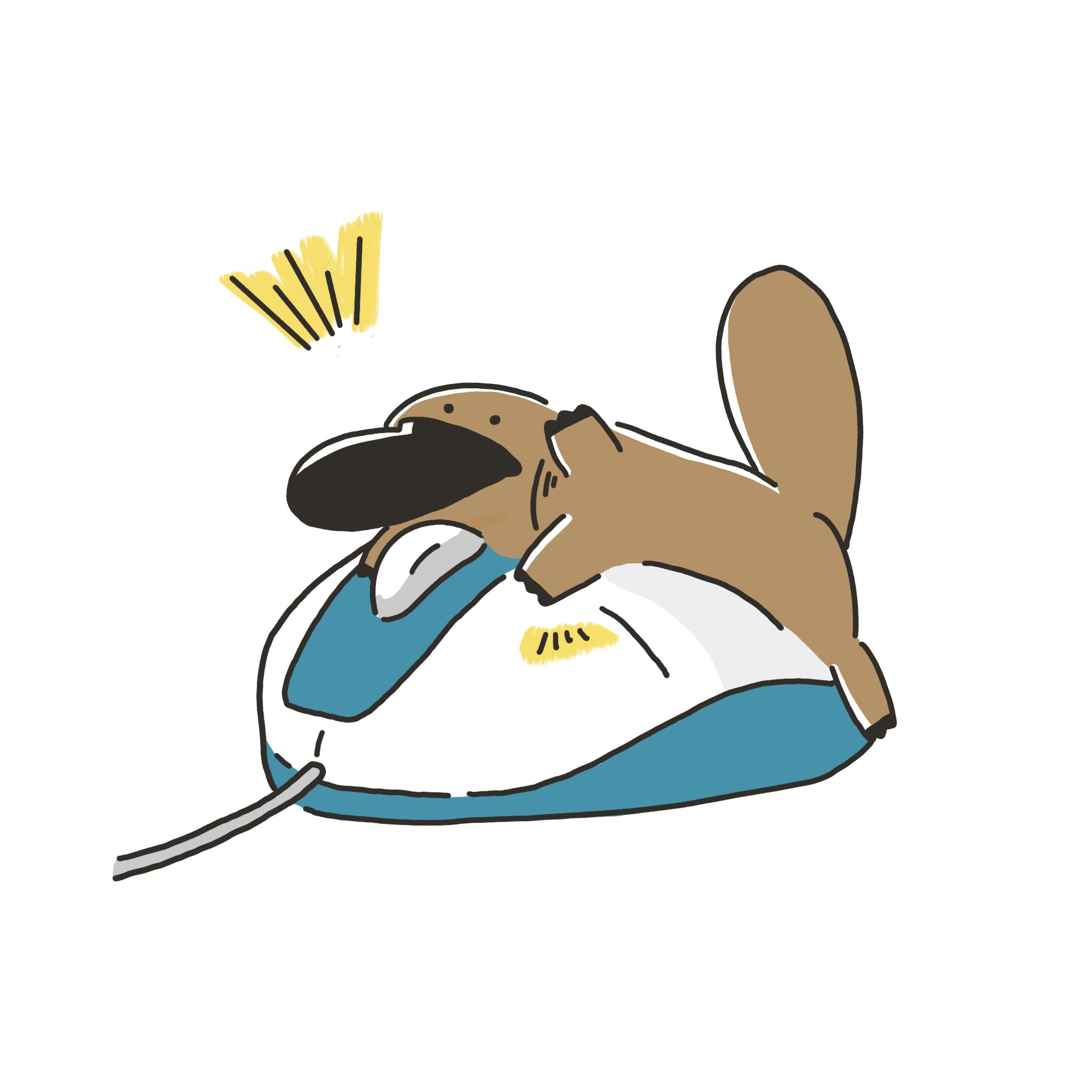 かものはしちゃん Kamolife Twitter