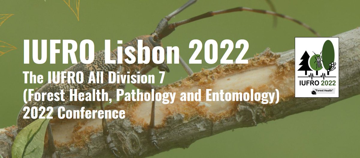 📢The early-bird registration deadline is coming up! 
⏰⏳⏰
Register for the IUFRO all division 7 meeting in Lisbon before the 📅30th of April and get access to early-bird rates!
#IUFRODivision7 #Lisbon2022 #PlantHealth #Entomology #Pathology