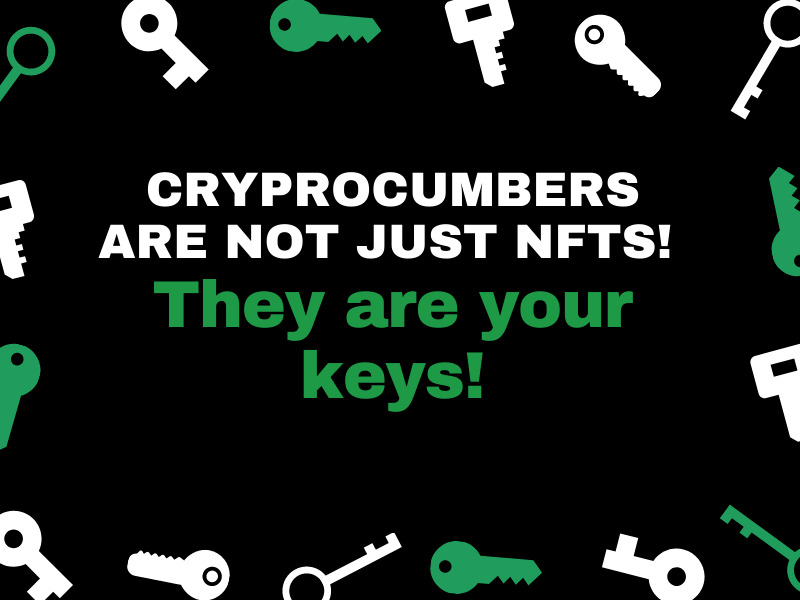 CryptoCumbers will be your keys 🥒🗝

#NFTCommunity #NFTs #NFTGiveaways #NFTdrop #NFTProject #nftart #Whitelist #NFTGiveaway