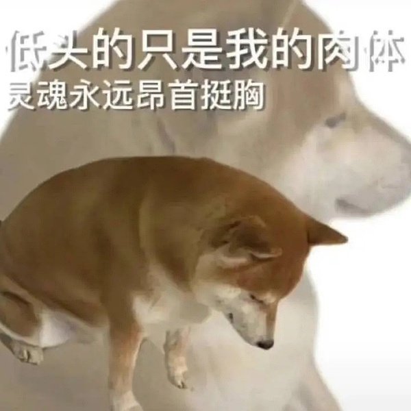 我被抽卡手游伤透了心，我已经忘记了我初衷是玩黄油看黄色了，每天掐点上号肝活动打日常。
你是怎么对我的，新世界狂欢，你是怎么对我的，十连抽出来6个N卡，这个世界会好吗 https://t.co/cmtlQ16Fy6
