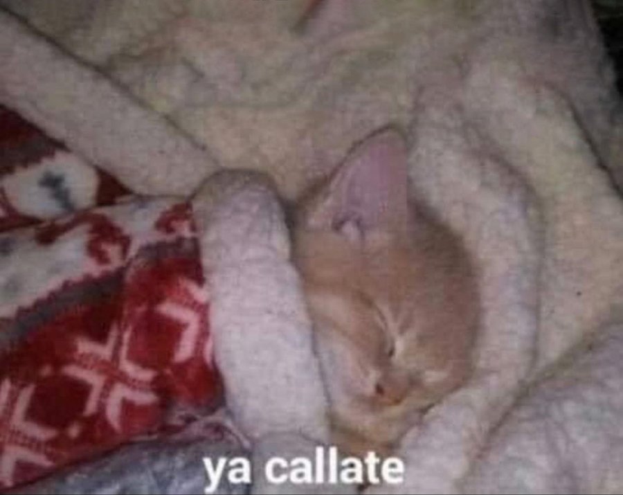 Cuando suena la alarma para levantarme e ir a la trabajacion.