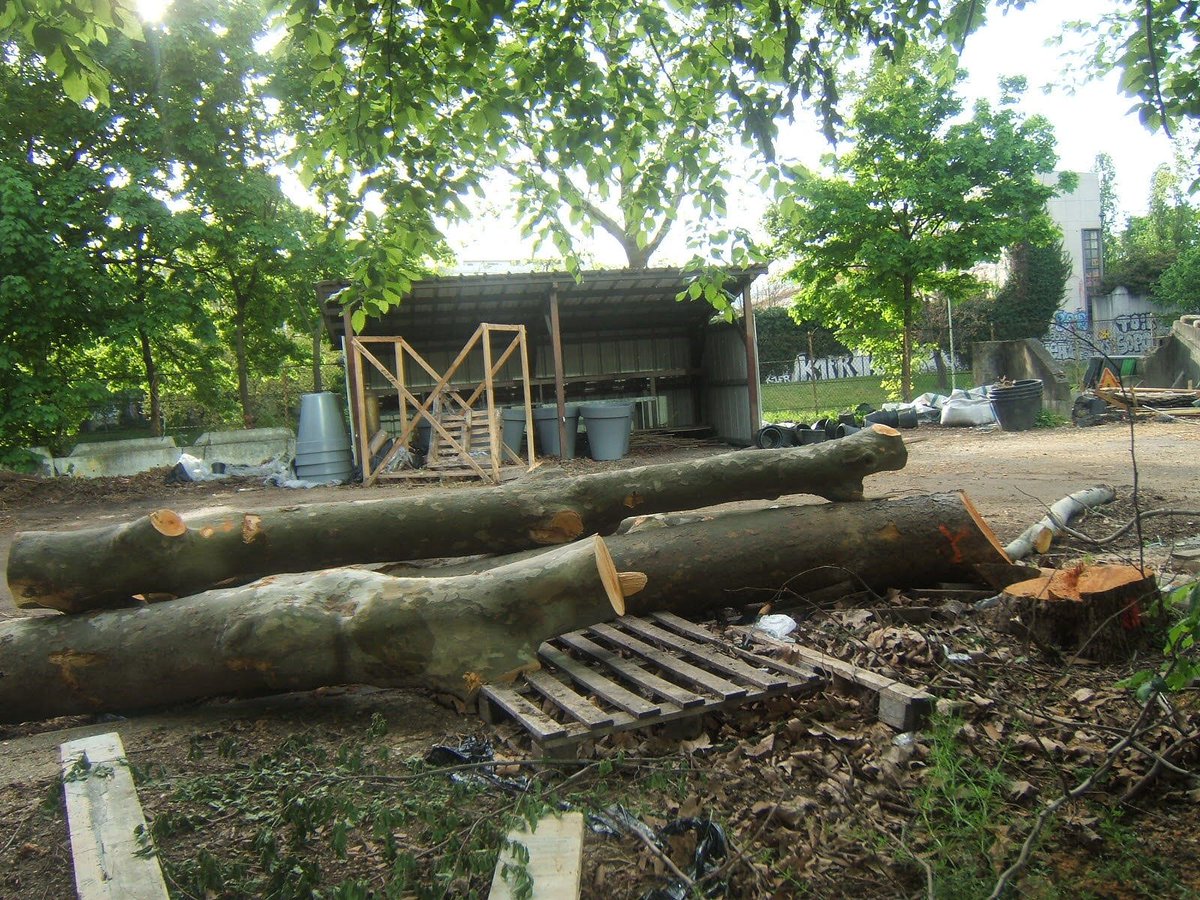Ce matin, porte de Montreuil (XXe arr): abattage de 76 arbres parmi les 195 qui seront à terme impactés par le nouveau projet de bétonnage. Il est temps que les édiles pensent leurs projets autrement: un arbre adulte et sain, c'est précieux, ça ne se remplace pas! #Vegetalisation