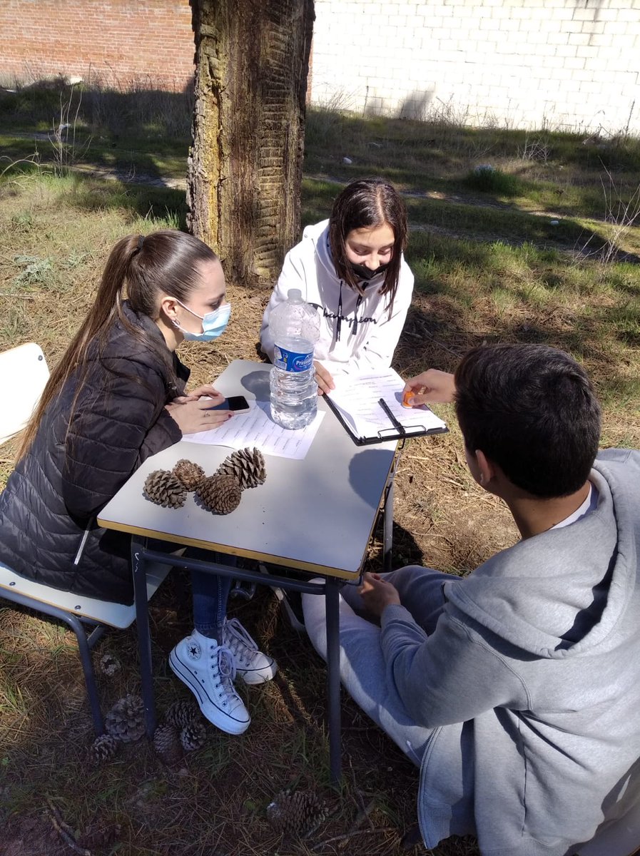 IESO Pinares de Pedrajas tweet media