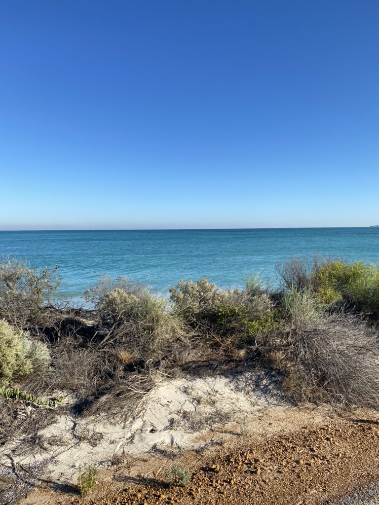 philalvaro's tweet image. Jurien Bay…
#howstheserenity