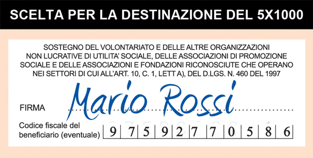 Fondazione Panetti tweet media
