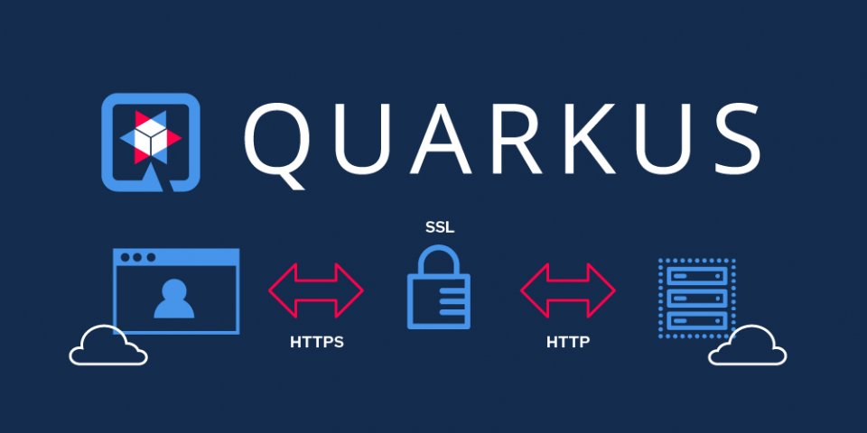 javinpaul's tweet photo. “Top 5 Courses to learn Quarkus Framework in 2022 - Best of Lot” https://t.co/Nk82Ft6Udr #Java #Programming #Microservcies https://t.co/8rHP672jId