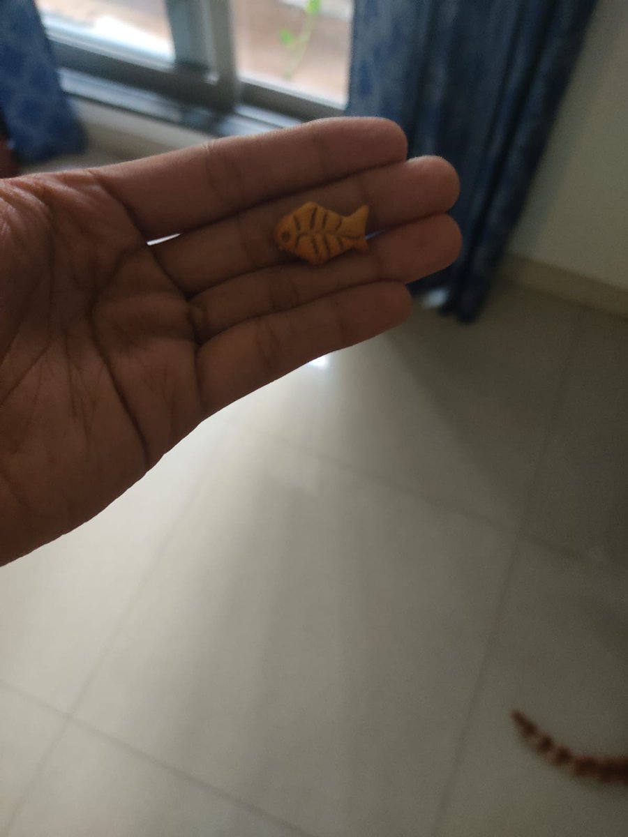sircries_alot's tweet photo. why do I, a 22 y/o find this tiny fish shaped cat treat so fascinating https://t.co/x2DIuGLb80