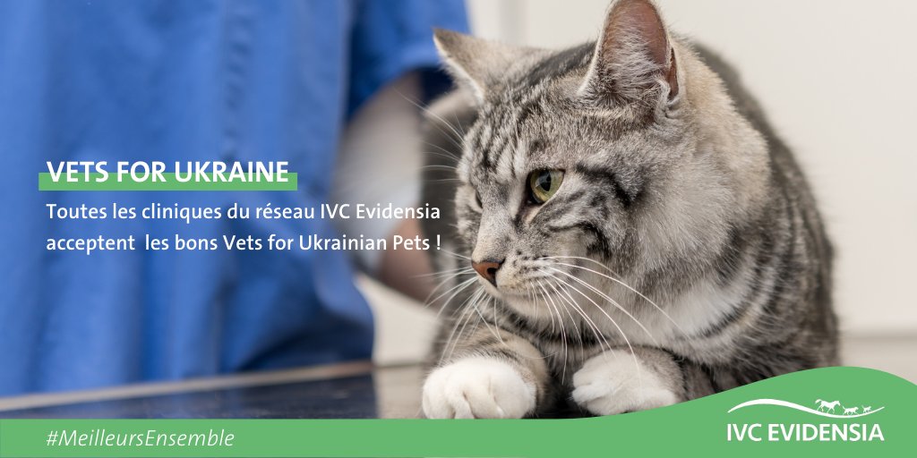 IVCEvidensiaFr's tweet photo. #MeilleursEnsemble
#IVCEvidensia apporte tout son soutien aux réfugiés 🇺🇦
Nous sommes partenaire du mouvement #VetsForUkraine et l'ensemble des cliniques du réseau acceptent les bons "Vets for Ukrainian Pets" ✅ https://t.co/0WSZOkAaNm