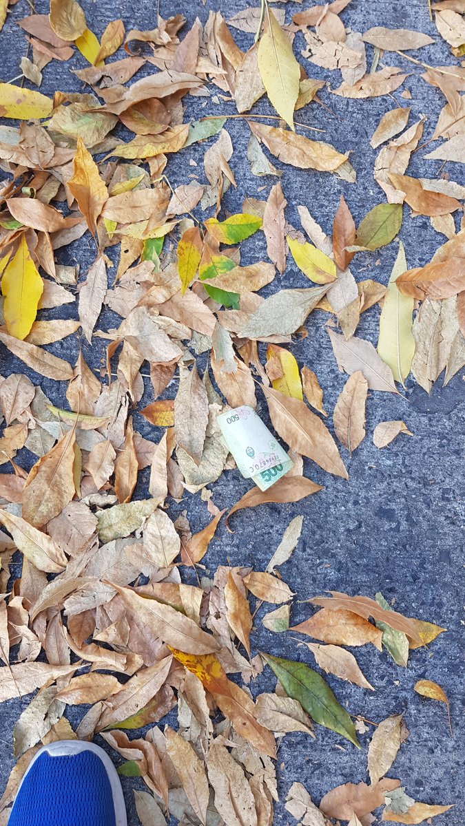 Me acabo de encontrar 500 pesos, tengo que pagar impuesto a la renta inesperada?