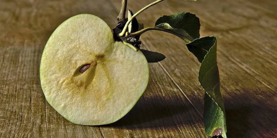 macronimous's tweet image. #NodeJS18 Introduces Prefix-Only Core Modules bit.ly/3jVs5aY