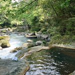 ツイートに含まれる画像