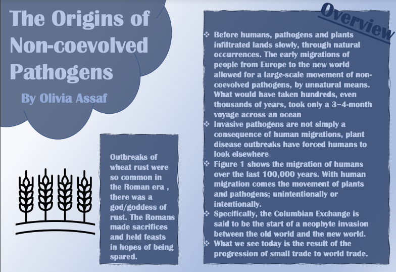 PBIOWriting's tweet photo. Ever wonder how a plant from a different geographical region made its way across the ocean? Take a look at this as presented by UG Olivia to find out a bit more! #InvasionBiologists #non-coevolved #pathogens 
@PBIOwriting  #PBIOWriting https://t.co/17J9jJHgXU