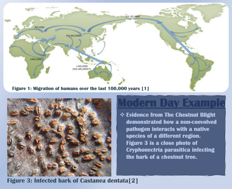 PBIOWriting's tweet photo. Ever wonder how a plant from a different geographical region made its way across the ocean? Take a look at this as presented by UG Olivia to find out a bit more! #InvasionBiologists #non-coevolved #pathogens 
@PBIOwriting  #PBIOWriting https://t.co/17J9jJHgXU