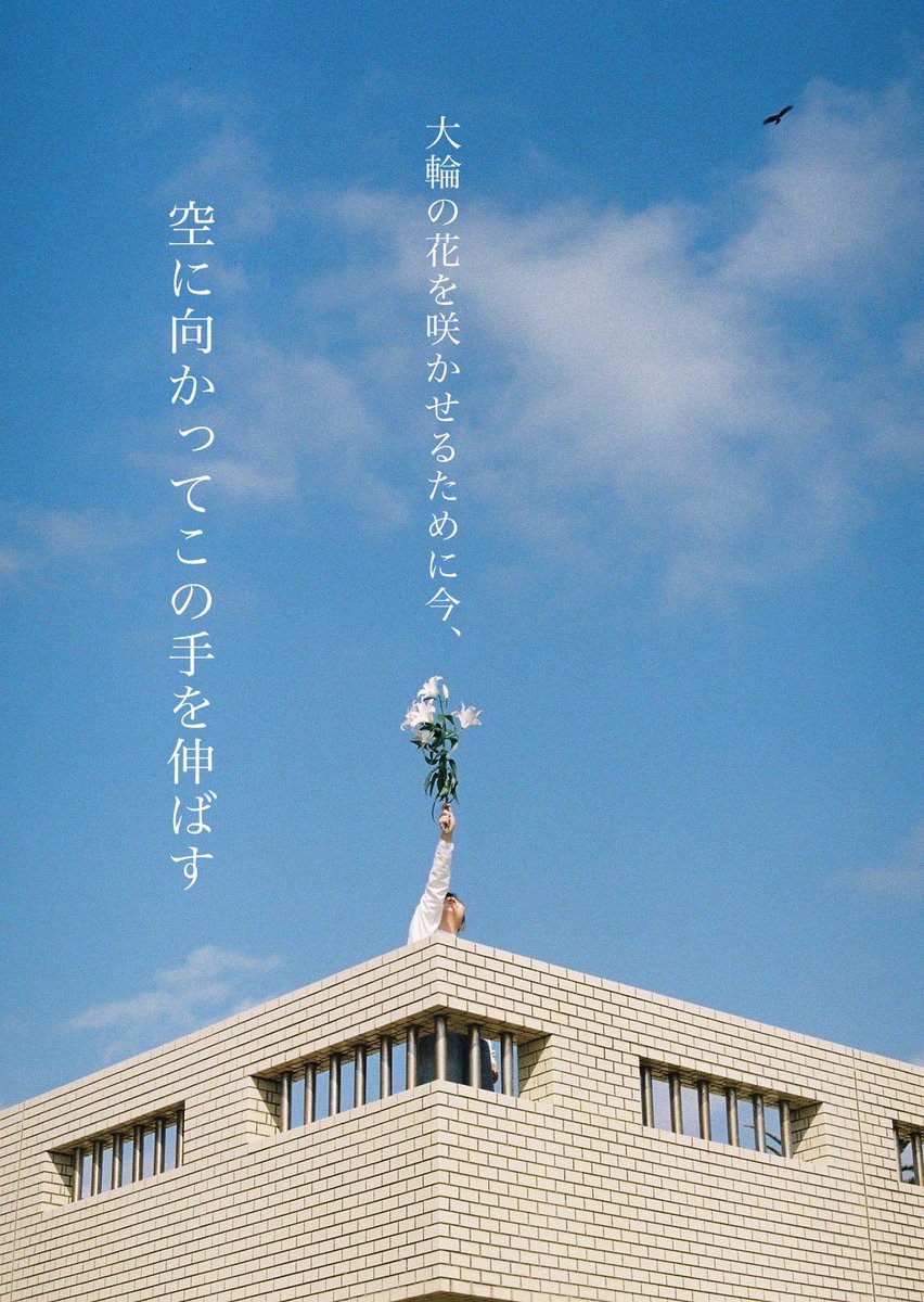 photo_tanka's tweet photo. #短歌 #フィルム写真 #写真と短歌 #フォト短歌 #film #filmphotography #35mm #ちょっといいこと短歌 #reco_ig #as_archive #film_jp #film_com #thedaily35mm #305c https://t.co/dDtiCvrBVK