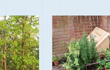 Marie Louise Juul tweet media