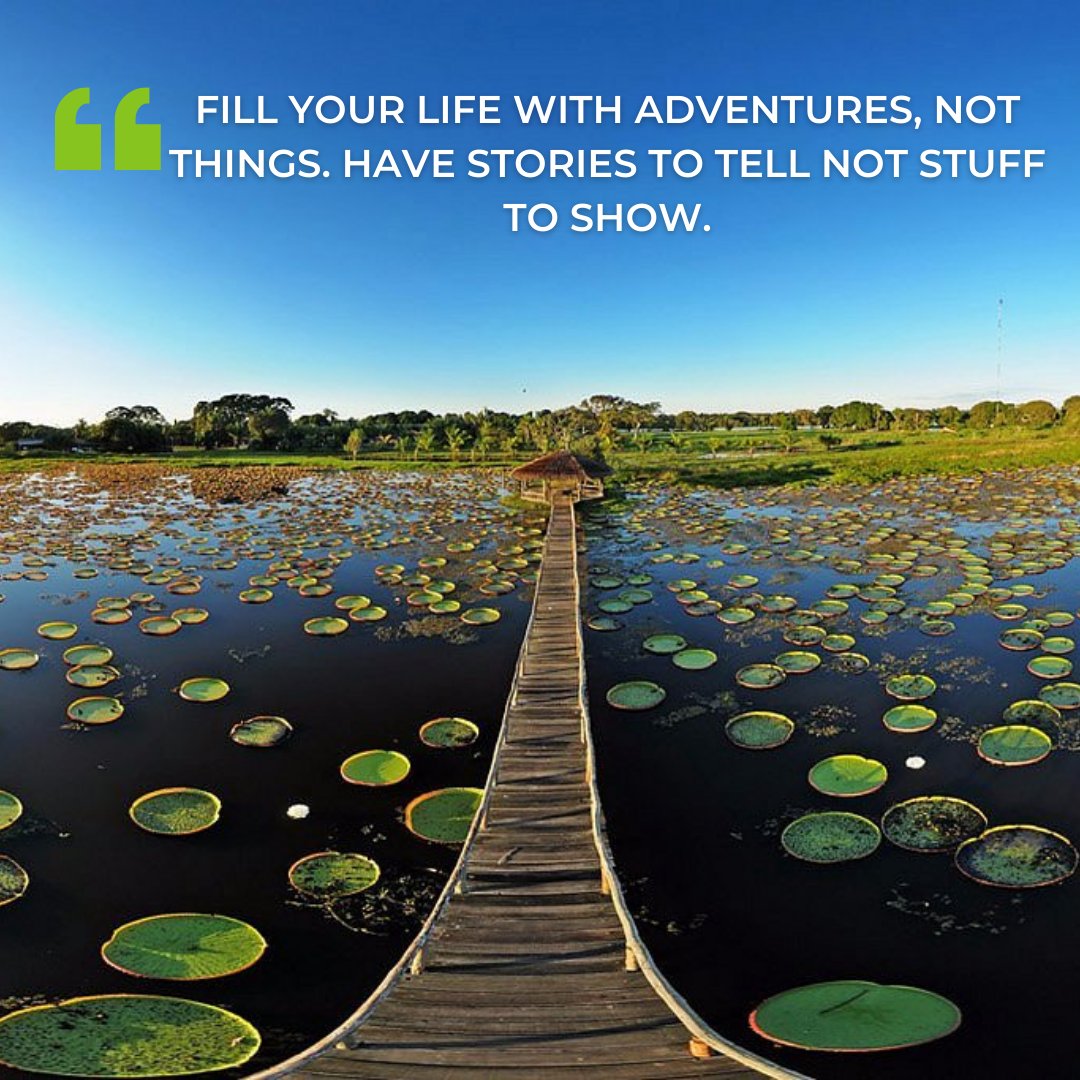 #TravelTuesday Don’t wait to make your dreams come true - contact us now to find out what safaris we can offer you to make you change the way you see the world!

#WildEyeSA #Africa #Travel #BucketList  #RevengeTravel #Adventure #SeeTheWorld #TravelJunkie #Wildlife #Nature