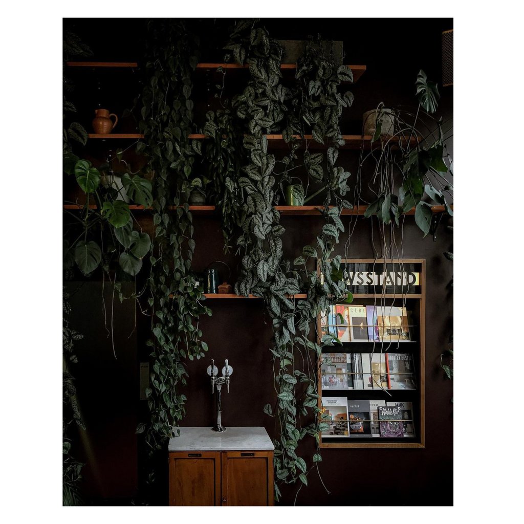 Pop in for a coffee, stay for a read.

Photo: @realrobbentley