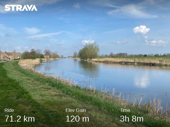 Neil Clark tweet media