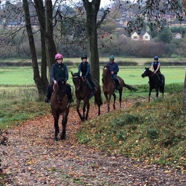 Martin Bosley Racing tweet media