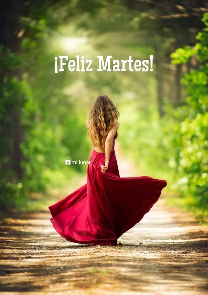 JorgeMiron5's tweet photo. "En esta vida hay que animarse a vivir. No dejes que los años pasen sin intentar ser feliz, porque hay tanta gente que respira pero no vive; por miedo al que dirá la gente, por hacer siempre lo mismo, por la rutina, sin ninguna emoción. 
¡Feliz Martes! 💕 https://t.co/5p7mErLps6