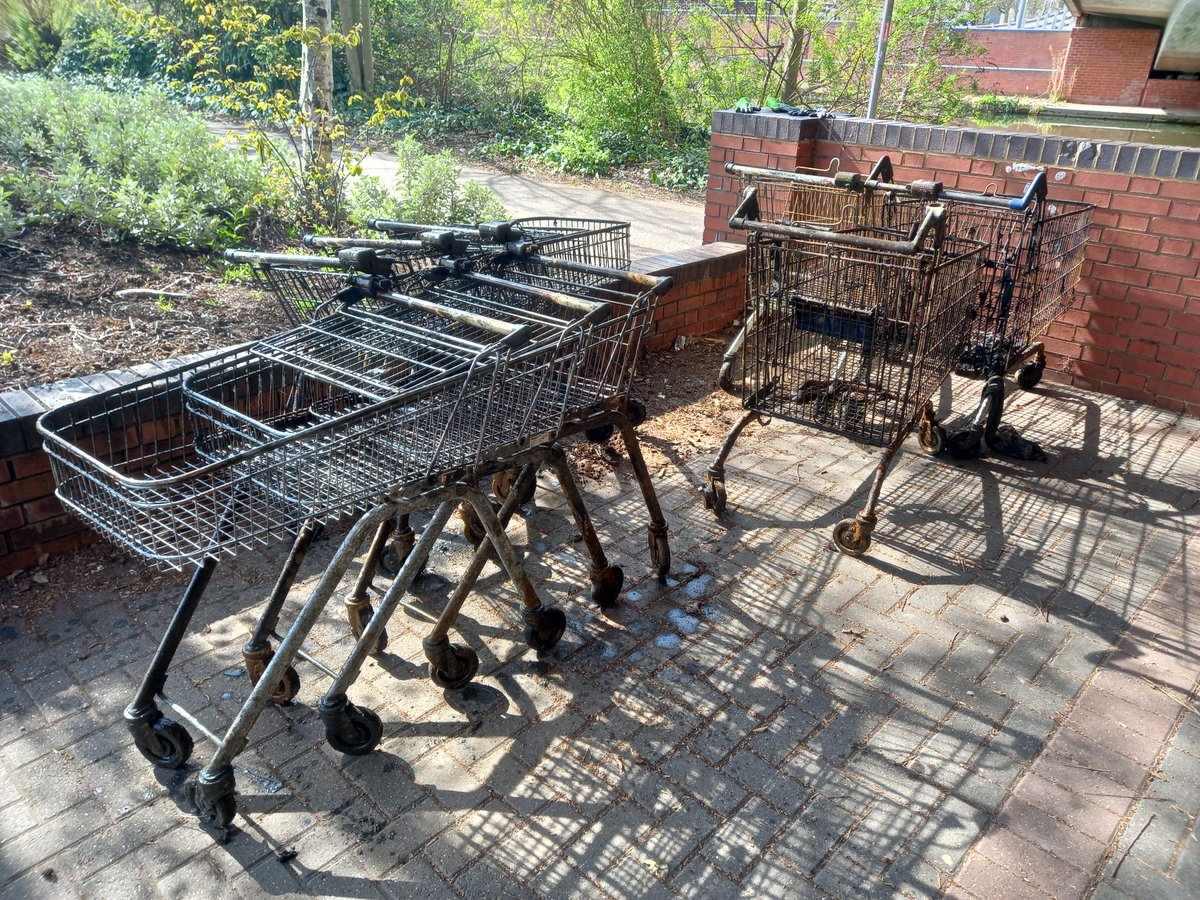 ChelmsHealth's tweet image. A joint operation between the Community Protection Team and The Environment Agency saw 14 trolleys pulled out of the River Can and River Chelmer last week. The wildlife was safely returned to the River. If you see an abandoned trolley, please report it to chelmsford.gov.uk/environment-an…