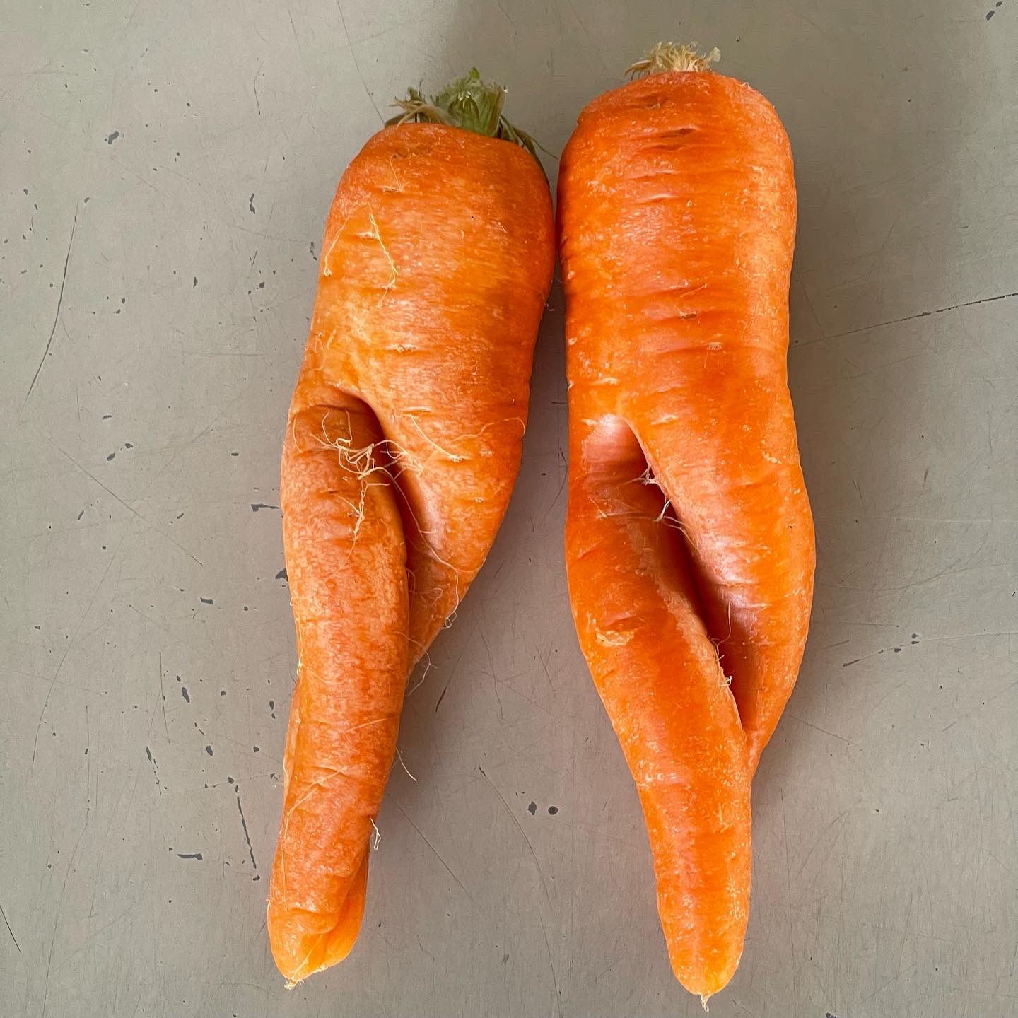 تويتر やっこ على تويتر 小さい頃ニンジンは苦手でした 今は食べれるようになりました 人参 ニンジン T Co 4pxe1fcdmx