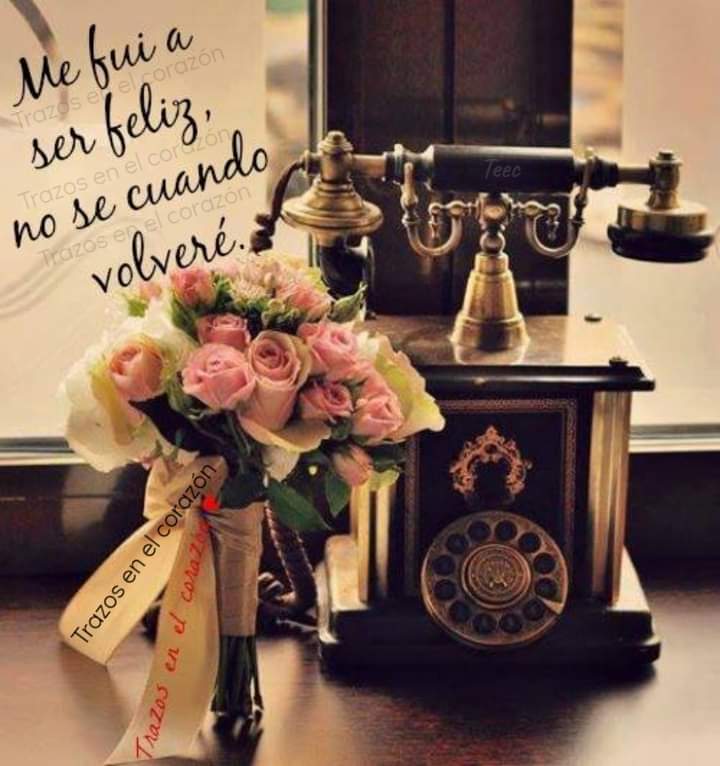 JorgeMiron5's tweet photo. Nunca dejamos de buscar la felicidad y es un derecho sagrado, pero debemos tener presente que muchas veces está a nuestro lado. 💕👋 https://t.co/oqeZ352JUi