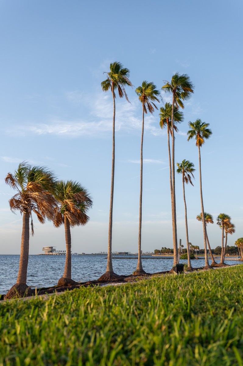 Visit St. Pete-Clearwater tweet media