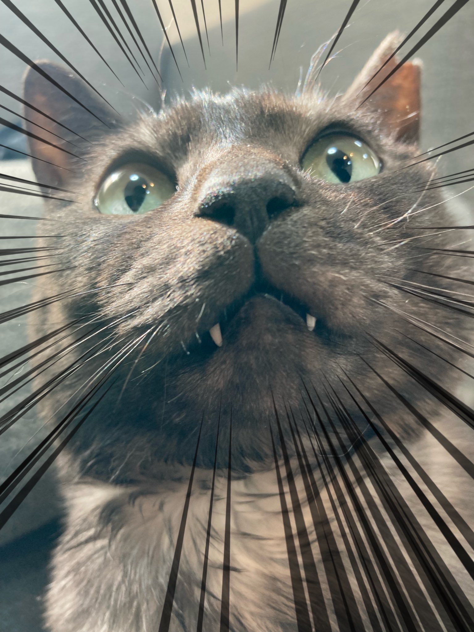 そしてこの顔である Twitter Search Twitter