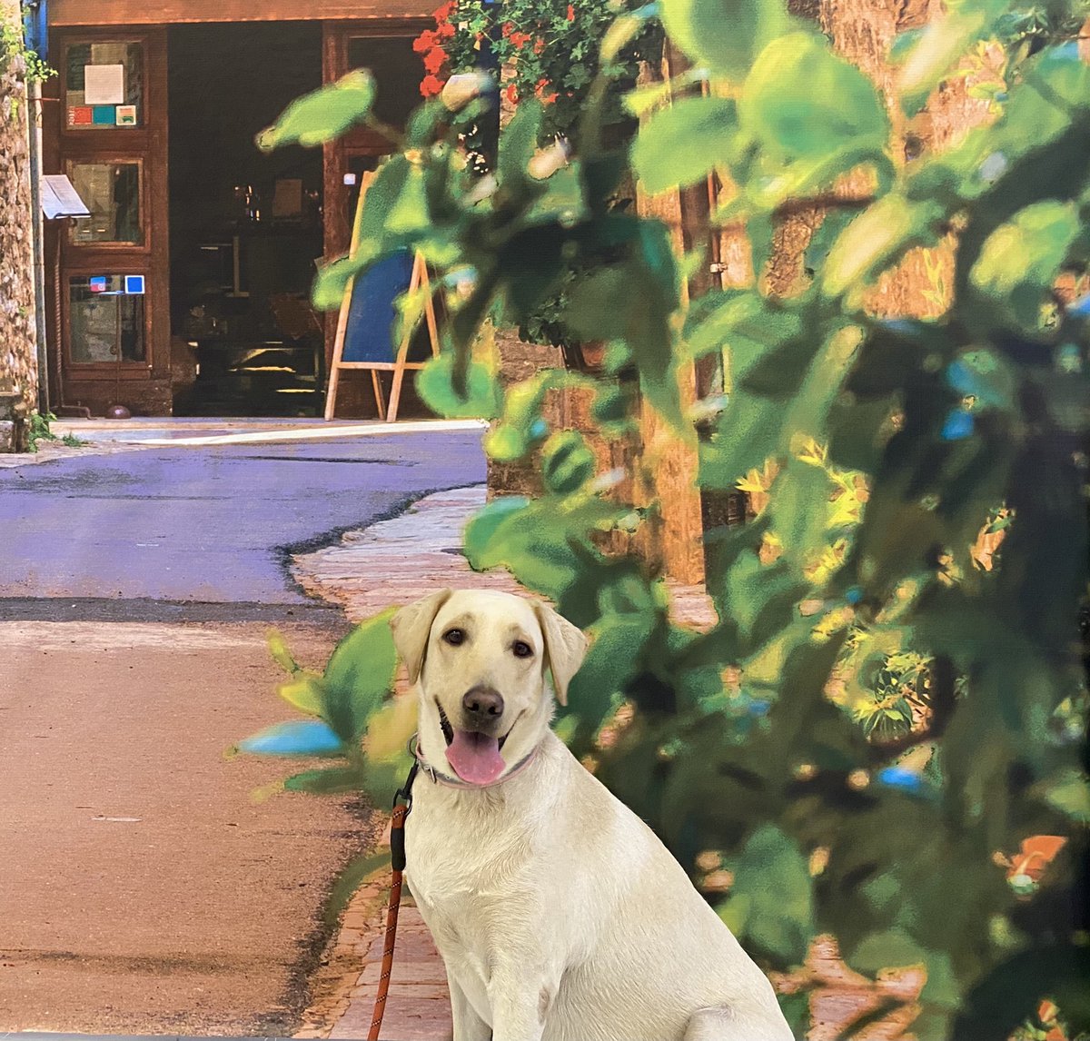 BellaExplora's tweet image. Daddy brought me to the mall, but somehow we ended up in Italy.  

People kept saying Ciao Bella! 🥰