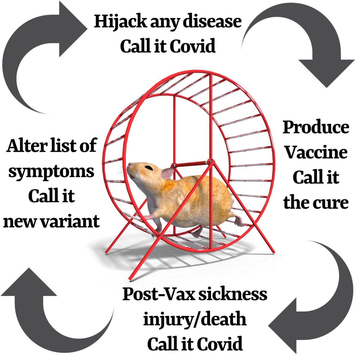 adamkokesh's tweet photo. The #COVID racket explained: https://t.co/nEGytJZqOm