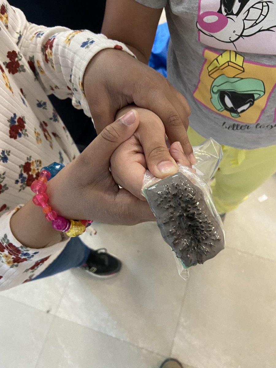 Last week while exploring forces and movement we had fun with magnetic force and iron filaments! 🧲  <a href="/DesmondHDSB/">Viola Desmond Public School</a>