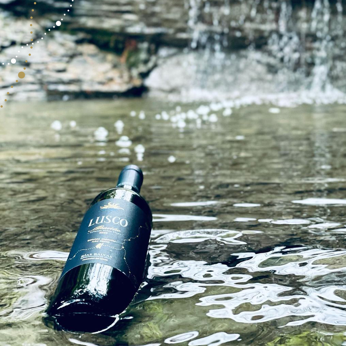 Sí, Lusco es un vino fresco. 
📸 @awinephotographer 

#Lusco #ConBuenVinoSeAndaElCamino